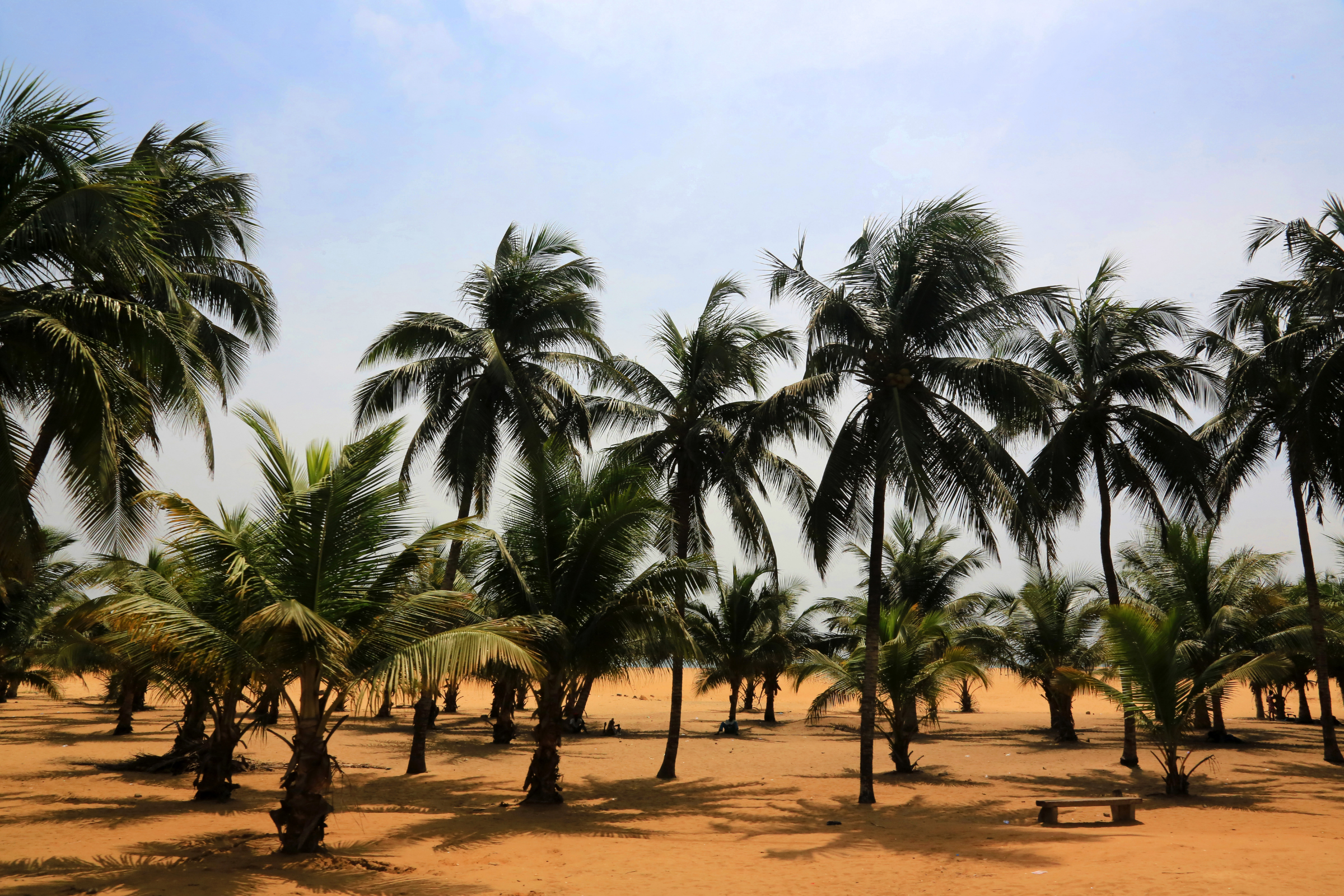 lome 03.webp